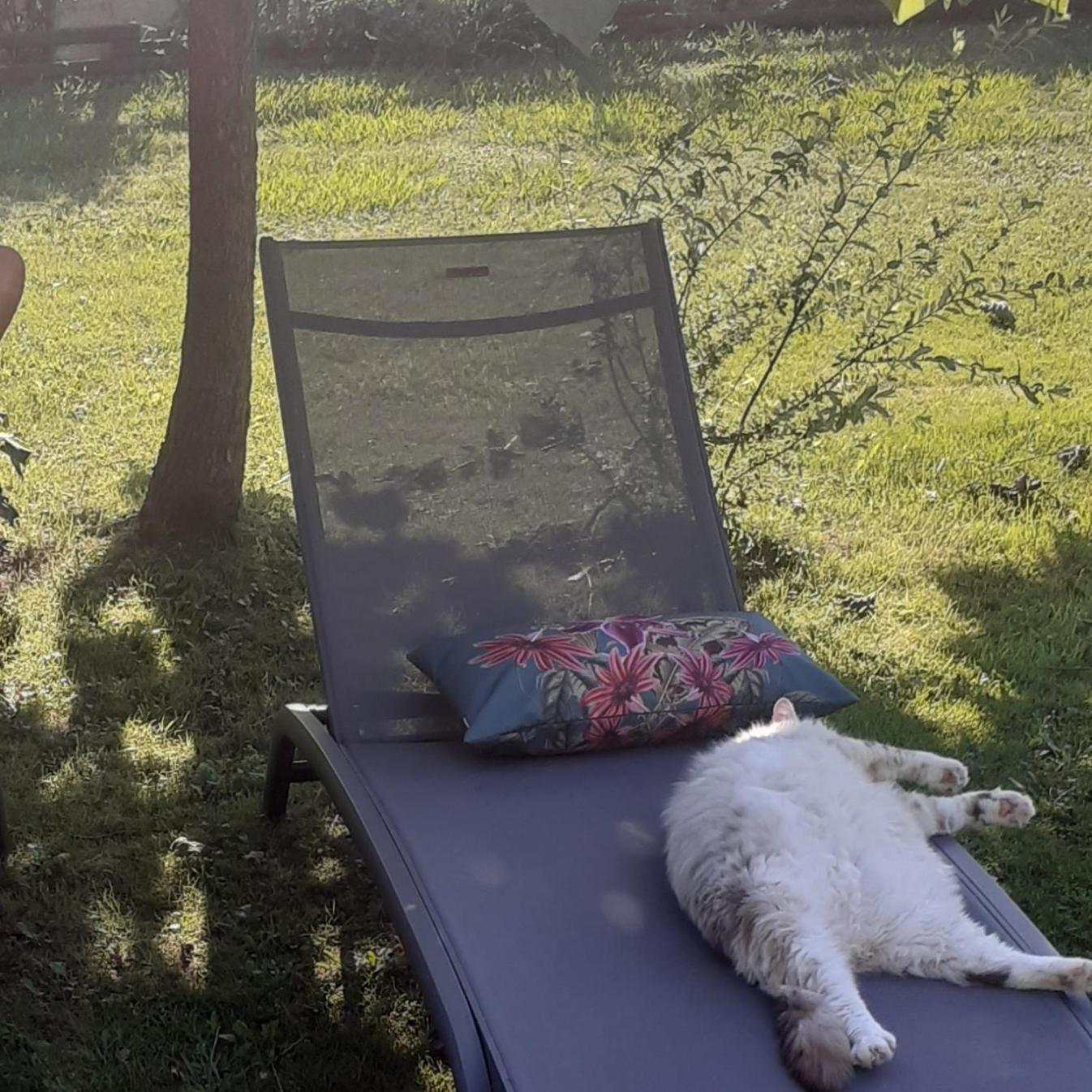 O'Jardin Bed and Breakfast Arthez-de-Bearn Exteriör bild
